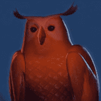 The Owl