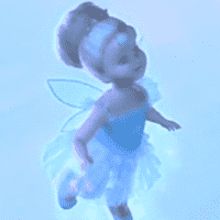 The Snow Fairy