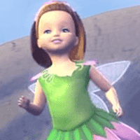 The Flower Fairy