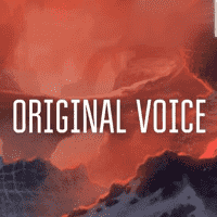 ORIGINAL Advisor Voice