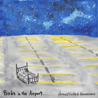 Birds in the Airport