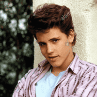 License to Drive (1988)