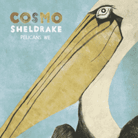 Cosmo Sheldrake - The Fly