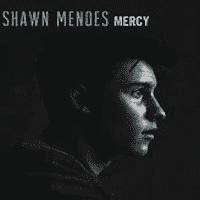 Shawn Mendes - Mercy