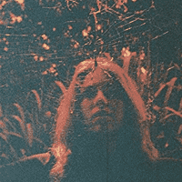 Turnover - Peripheral Vision