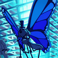 Judge Morpho