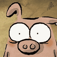 Pig