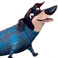 Mr. Weenie
