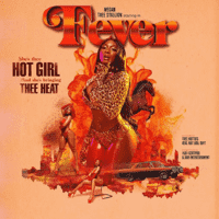 Megan thee Stallion - Fever