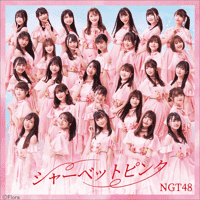 NGT48 - Sherbet Pink