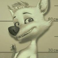 Belka