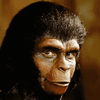 Dr. Zira