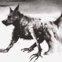 The Little Black Dog