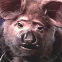 The Stupid Bat