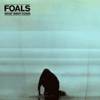 FOALS - Birch Tree