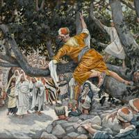 Zacchaeus