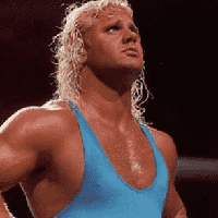 Curt Hennig, "Mr. Perfect"