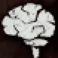 Aloy (Brain)