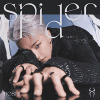 HOSHI (SEVENTEEN) - Spider