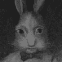 Harvey