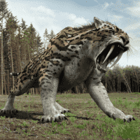 Smilodon