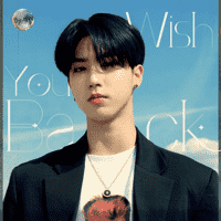 Han ( Stray Kids ) - Wish You Back