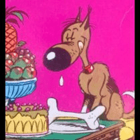 Rantanplan / Rin Tin Can