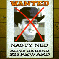Nasty Ned