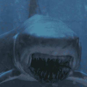 Mako ''Gen'' #2
