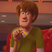 Shaggy Rogers