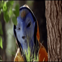 Jadoo