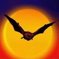Griffin
