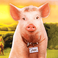 Babe (1995)