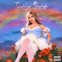 Slayyyter - Troubled Paradise