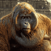 King Louie