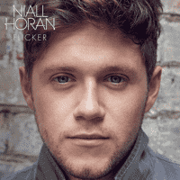 Niall Horan - Too Much to Ask