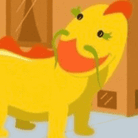 Pongo