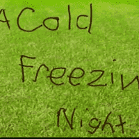 The Books - A Cold Freezin' Night