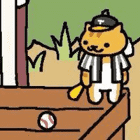 Joe DiMeowgio