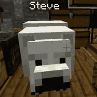 Steve