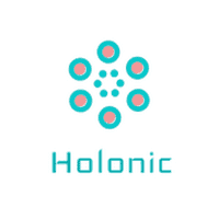 Holonic Development