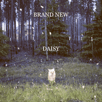 Brand New - Daisy