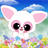 Pammee