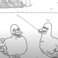 Pigeons