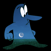 Night