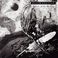 David Sylvian - Secrets of the Beehive