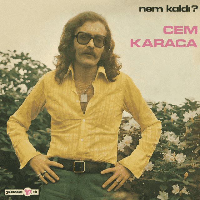 Cem Karaca - Sen De Başını Alıp Gitme