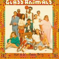 Glass Animals - Take A Slice