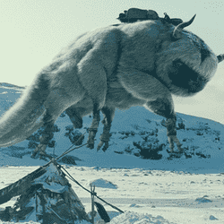 Appa