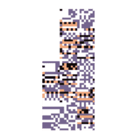 MissingNo.